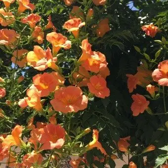 H_na.2의 [소나기가 내린 날에는]