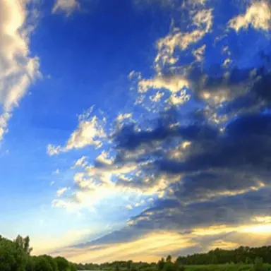 Profile image of 앙코