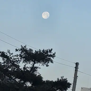 Profile image of 연시은