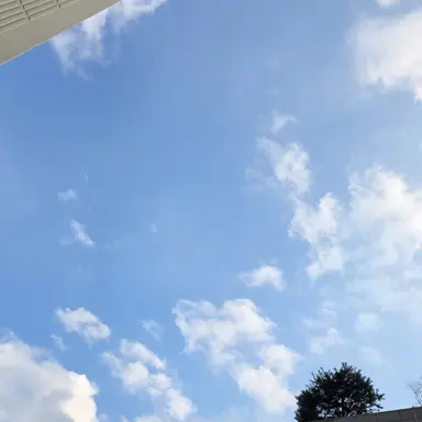 Profile image of 안수호