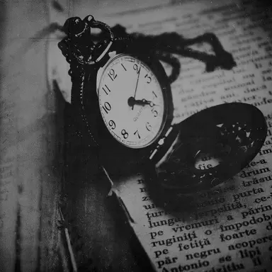 Profile image of Rabbit