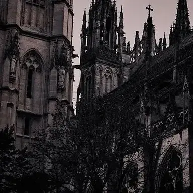 Profile image of Тёмное Королевство