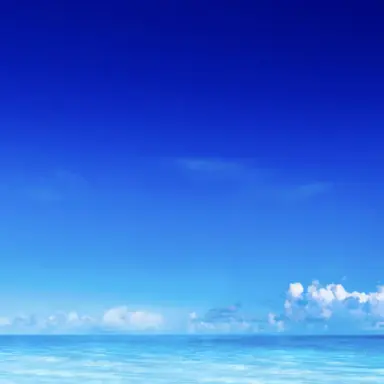 Profile image of 잠뜰