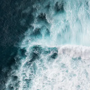 Profile image of 원양어선