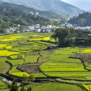 Profile image of 양명수