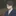 及川徹