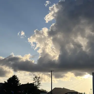 Profile image of 심수연