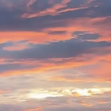 Profile image of 김선우