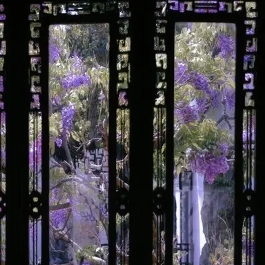 Profile image of 星導ショウ