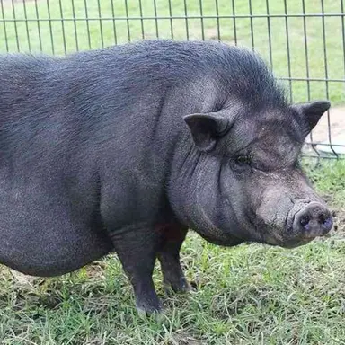 Profile image of 은서준