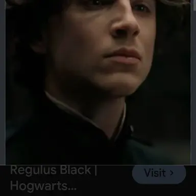 Profile image of Regulus black