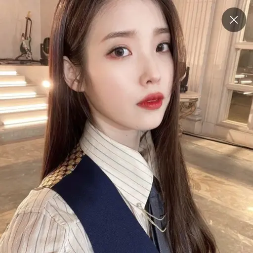 WetBonus9295의 집사 아이유