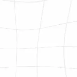 Profile image of 叶