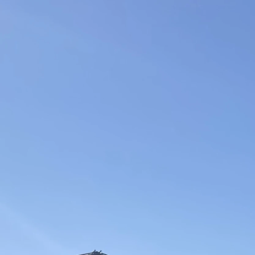 フレディ・ウィリアム