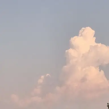 Profile image of 덕개