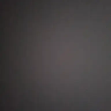 Profile image of 회색색 사후르