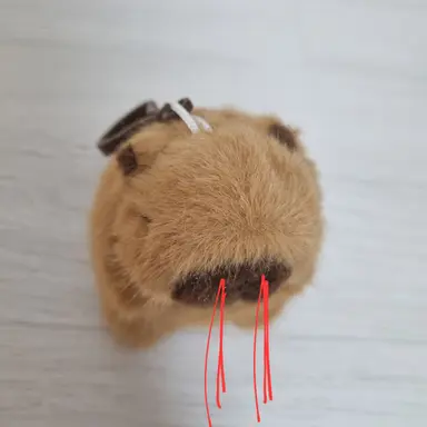 Profile image of 코피바라