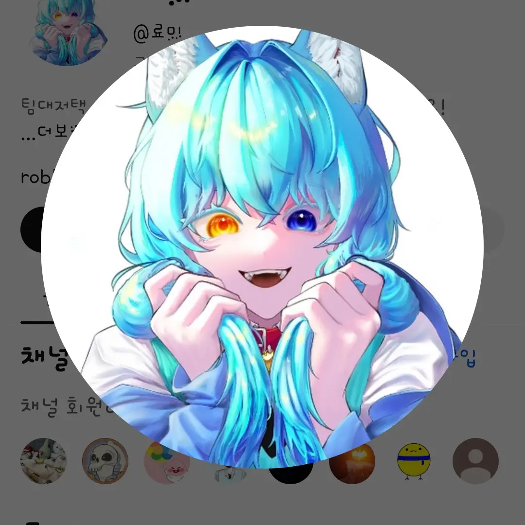 SnazzyTent6478의 료미 똥