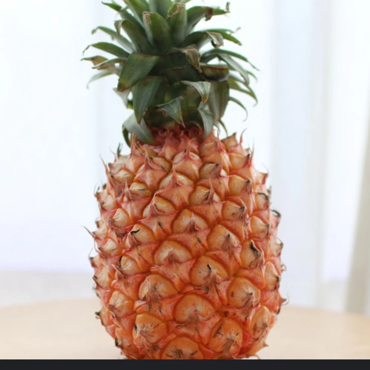 りんたん