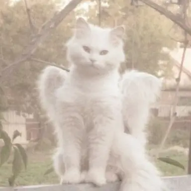 Profile image of 서 라더