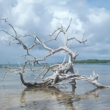 Profile image of 하현성