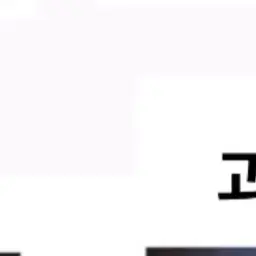 Jewon의 이재명 지지자