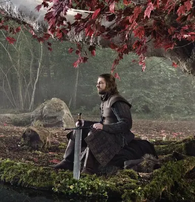 Profile image of Ned Stark