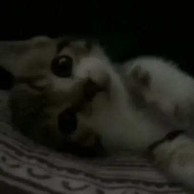 Profile image of 김규빈