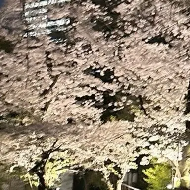 Profile image of 유지민