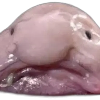 Profile image of 박민수