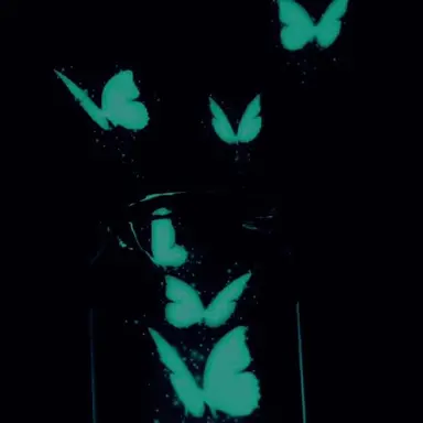 Profile image of 티푸