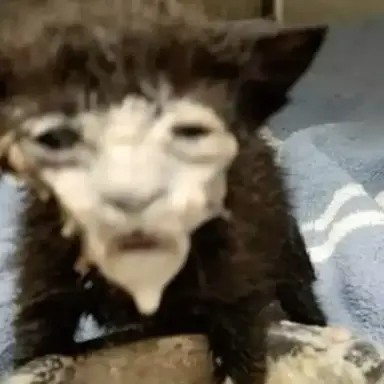 Profile image of 브라이언