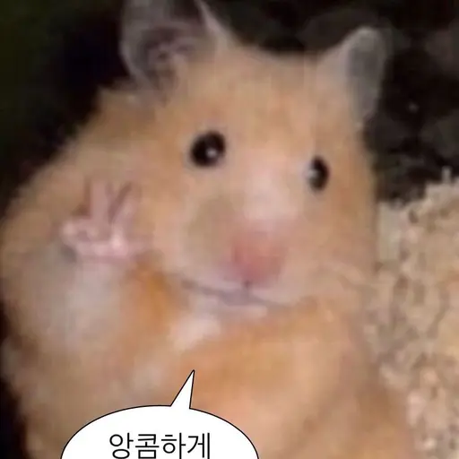 mimkh의 제타 서비스 종료하면 가만 안둠