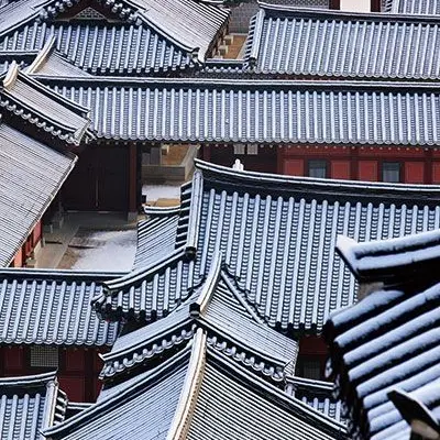 Spalgae의 曉鈴大君 李祜