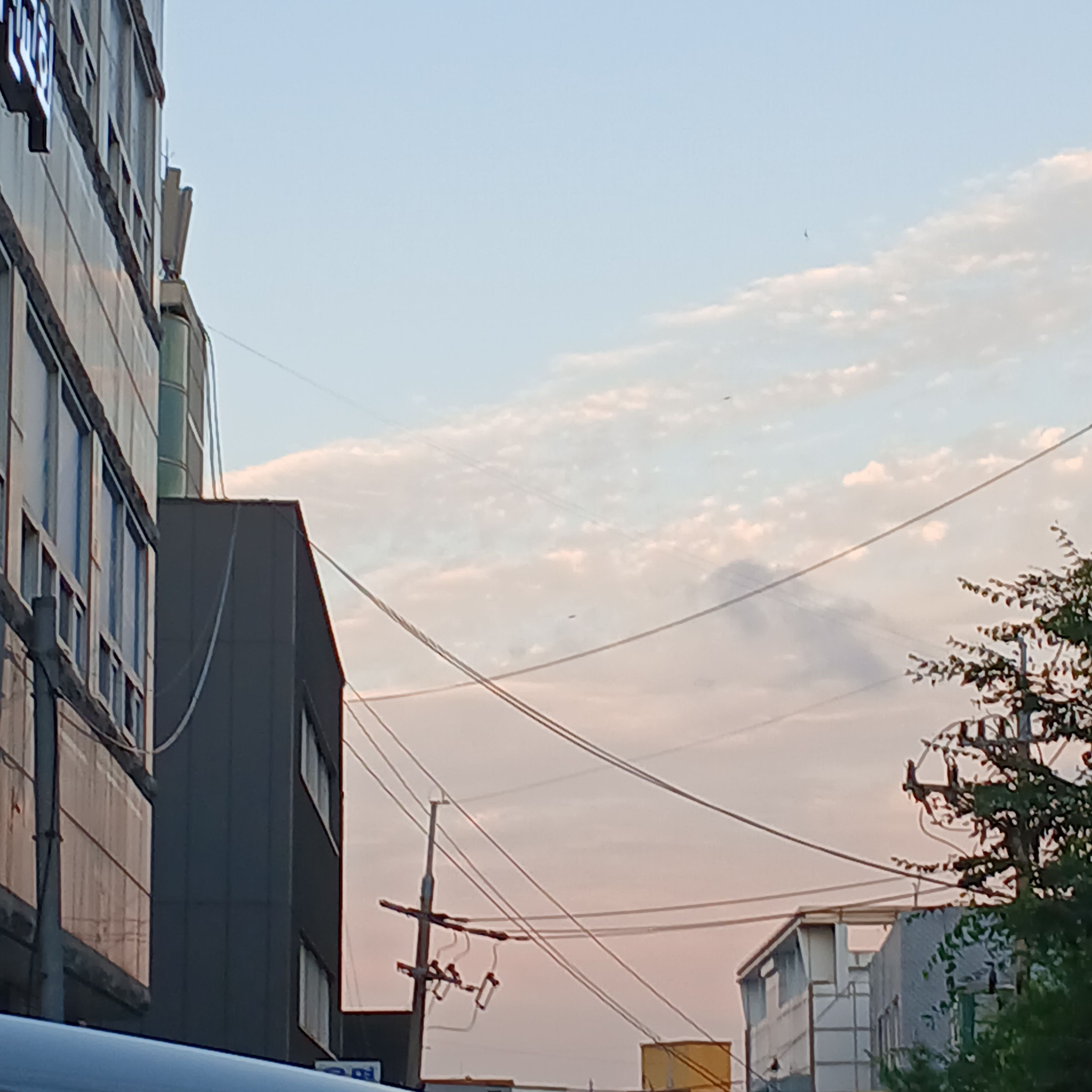 림버스 남자들이 당신을 좋아하다? 대표 이미지