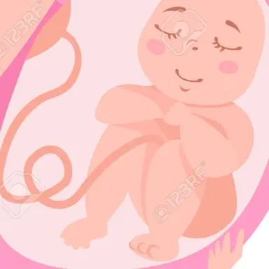 Profile image of 쑥쑥이