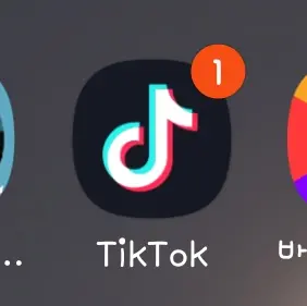 Profile image of 틱톡