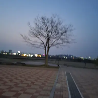 Profile image of 회원