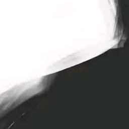 컨프짓좀 하지마 대표 이미지