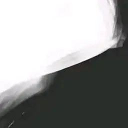 yooni_의 컨프짓좀 하지마