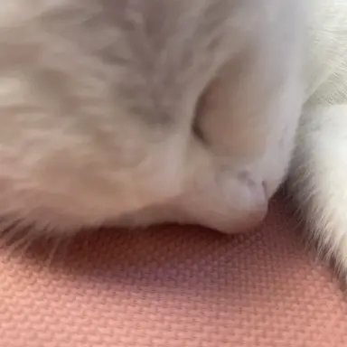 Profile image of 1-4반