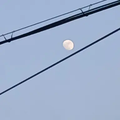Profile image of 하이터