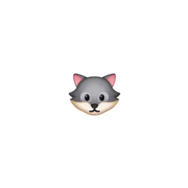 Profile image of 지호