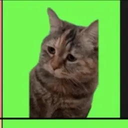 Profile image of 혼나는 고양이