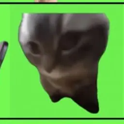 Profile image of 치피차파 고양이