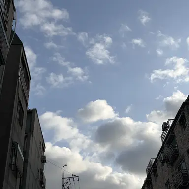 Profile image of 메복 입은 유튜버들