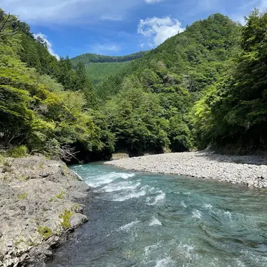 Profile image of 流