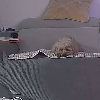 😻 대표 이미지