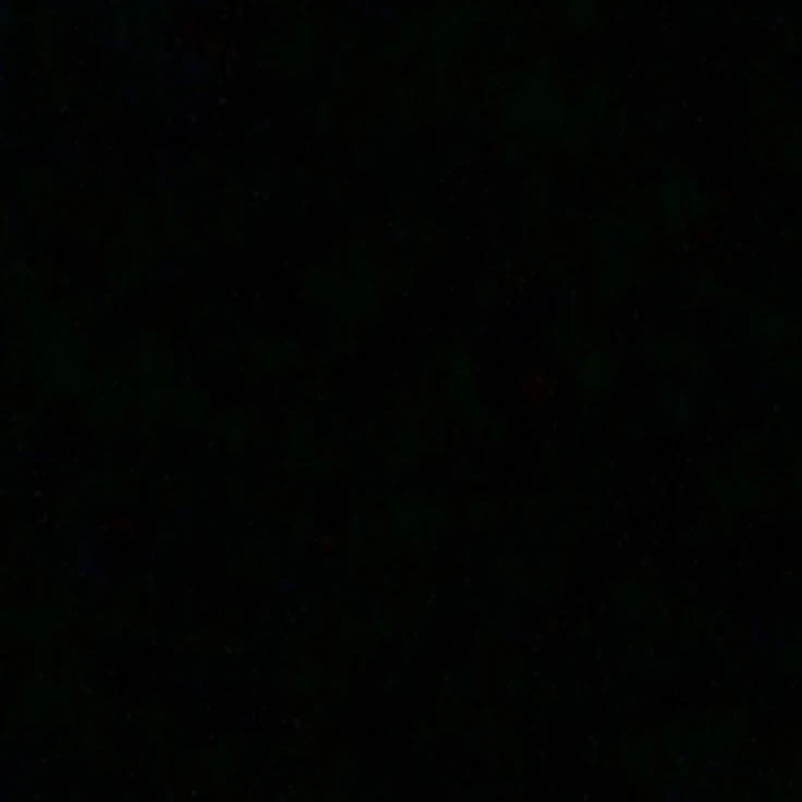 黒田