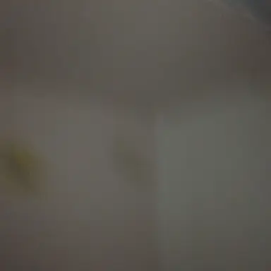 Profile image of しゅう